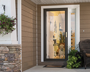 Storm Door