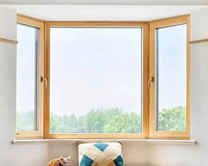 Soundproof Window