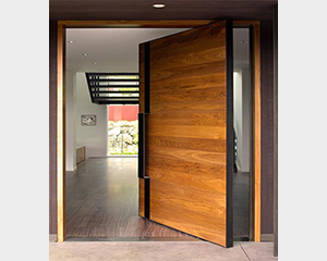 Entry Door
